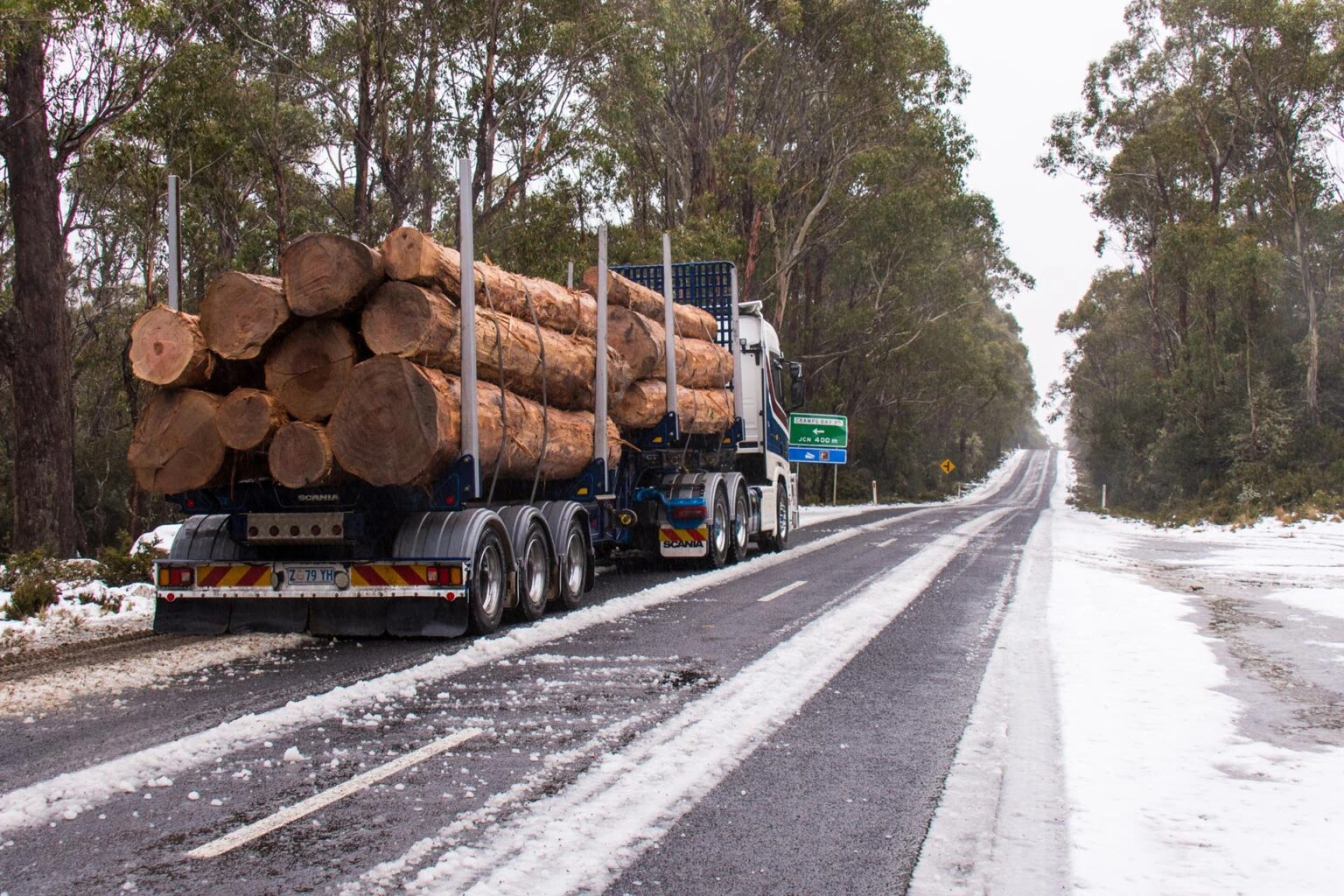 Gros plan sur des granulés de bois de haute qualité